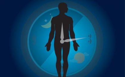 The finding opens avenues for investigating potential treatments for metabolic diseases. Image: Adobe the silhouette of a person superimposed onto a graphic of a clock